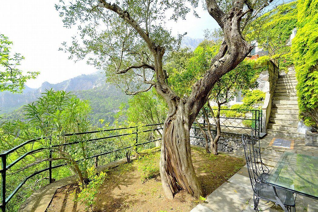 Photo of Outdoor in Nocelle
