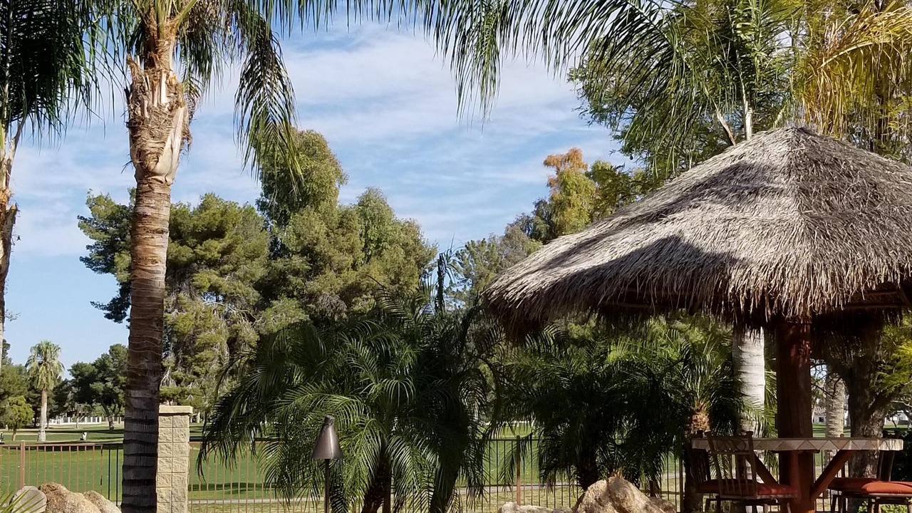 Photo of Others in Litchfield Park