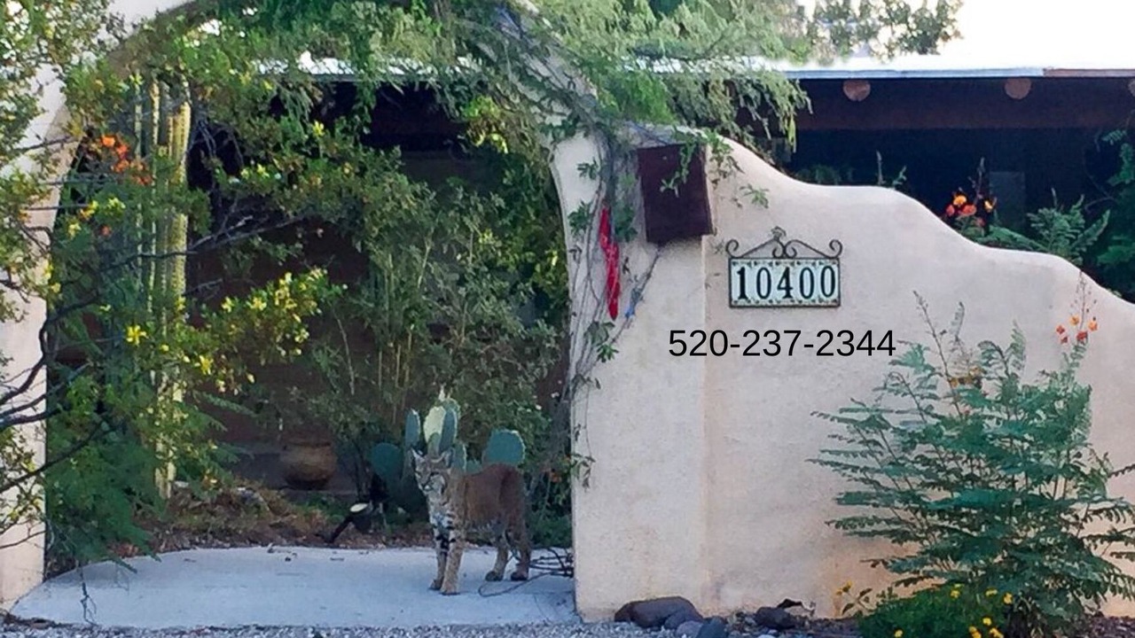 Photo of Outdoor in Cheyenne Estates