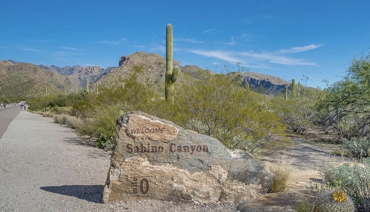 Photo of Others in Tucson