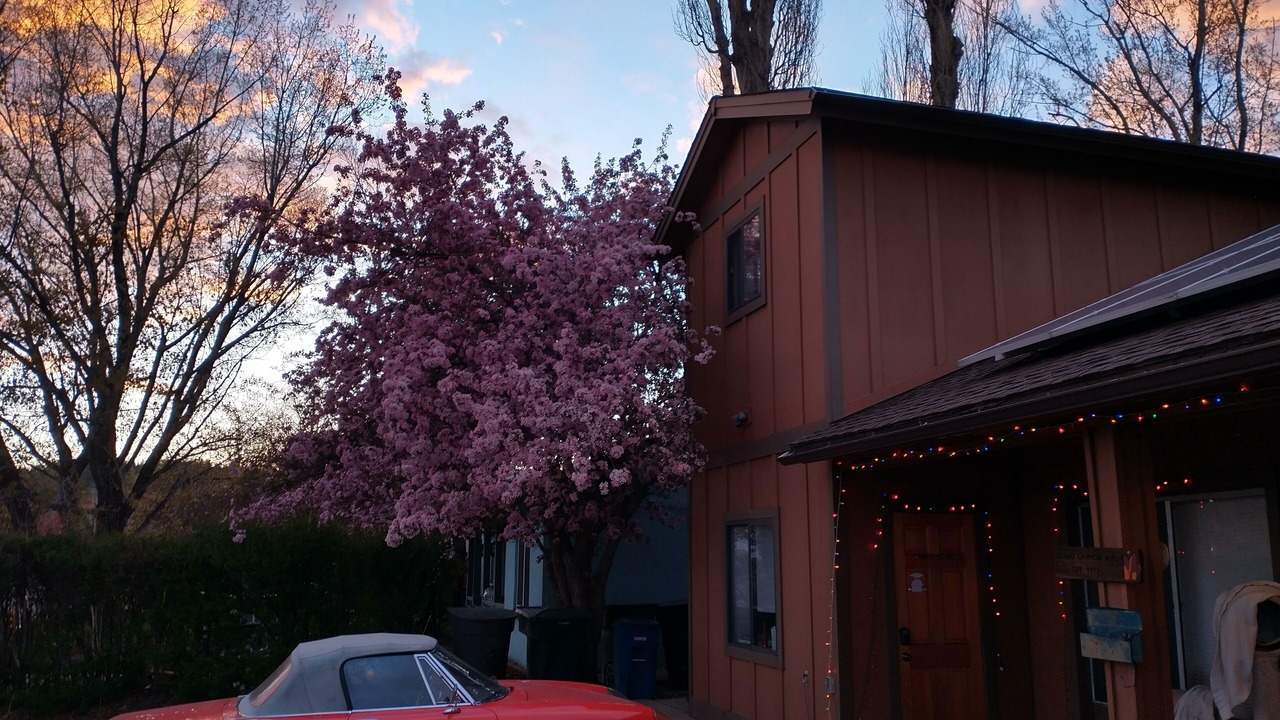 Photo of Others in Flagstaff