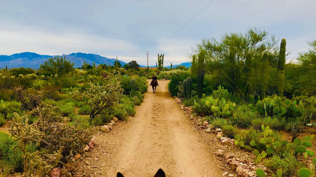 Photo of Outdoor in Cortaro