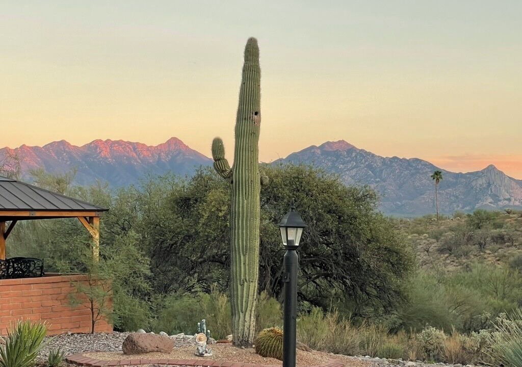 Photo of Others in Desert Hills Estates