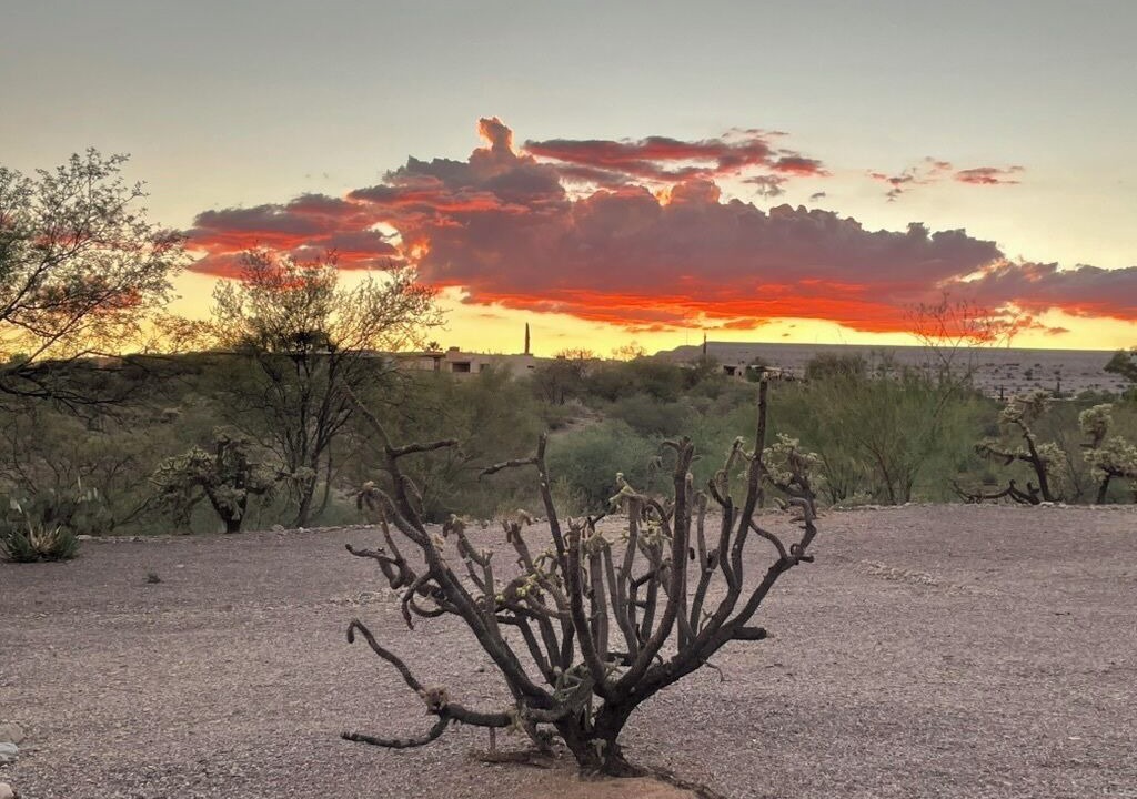 Photo of Others in Desert Hills Estates