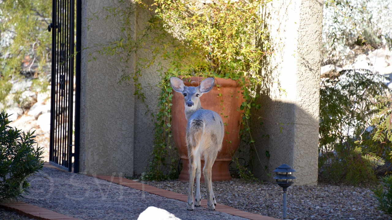 Photo of Outdoor in Sin Vacas