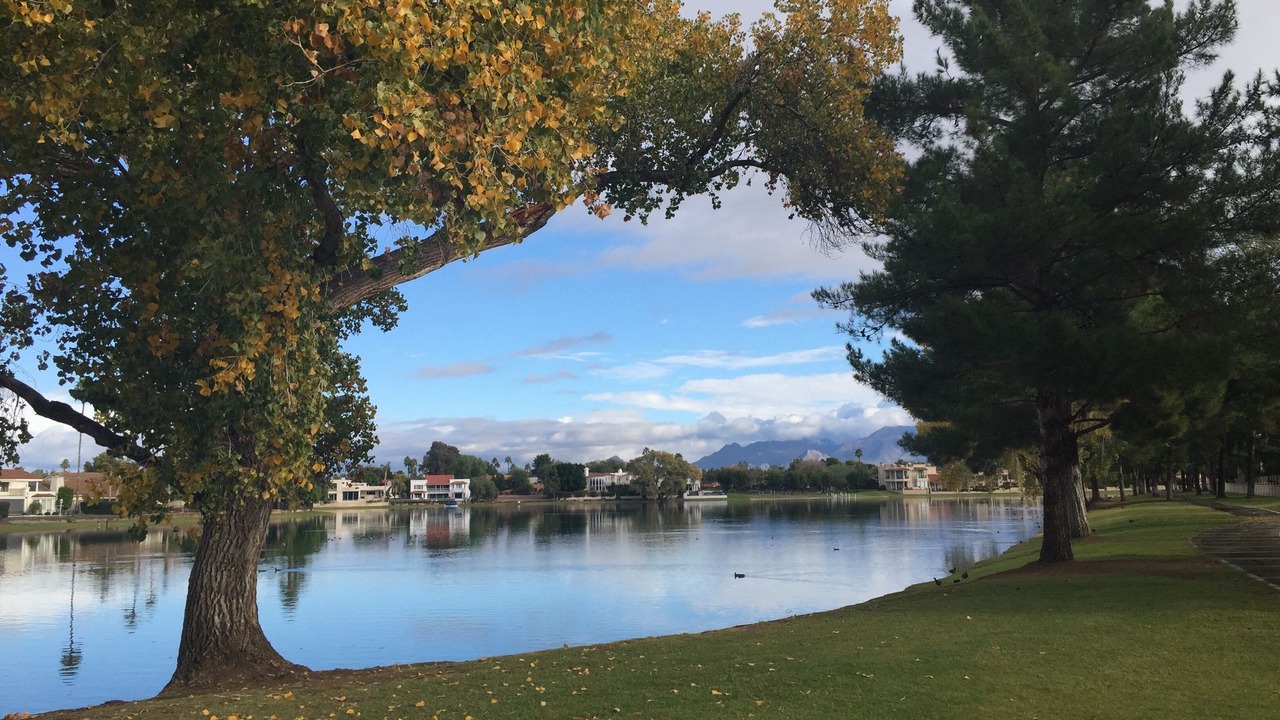 Photo of Others in McCormick Ranch