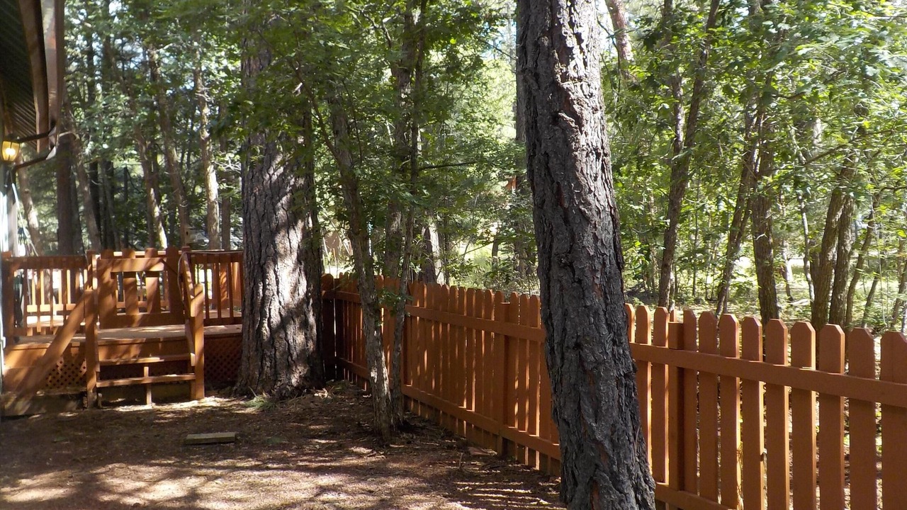 Photo of Others in Pinetop