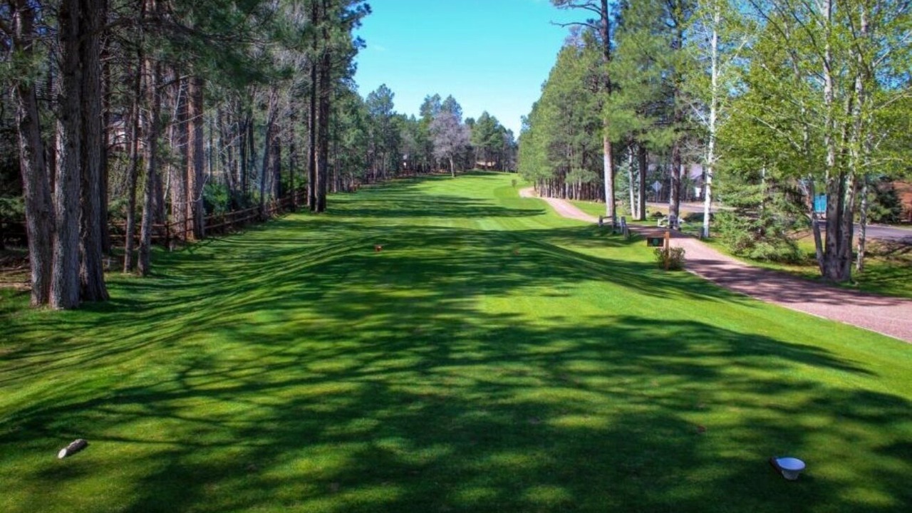 Photo of Others in Pinetop