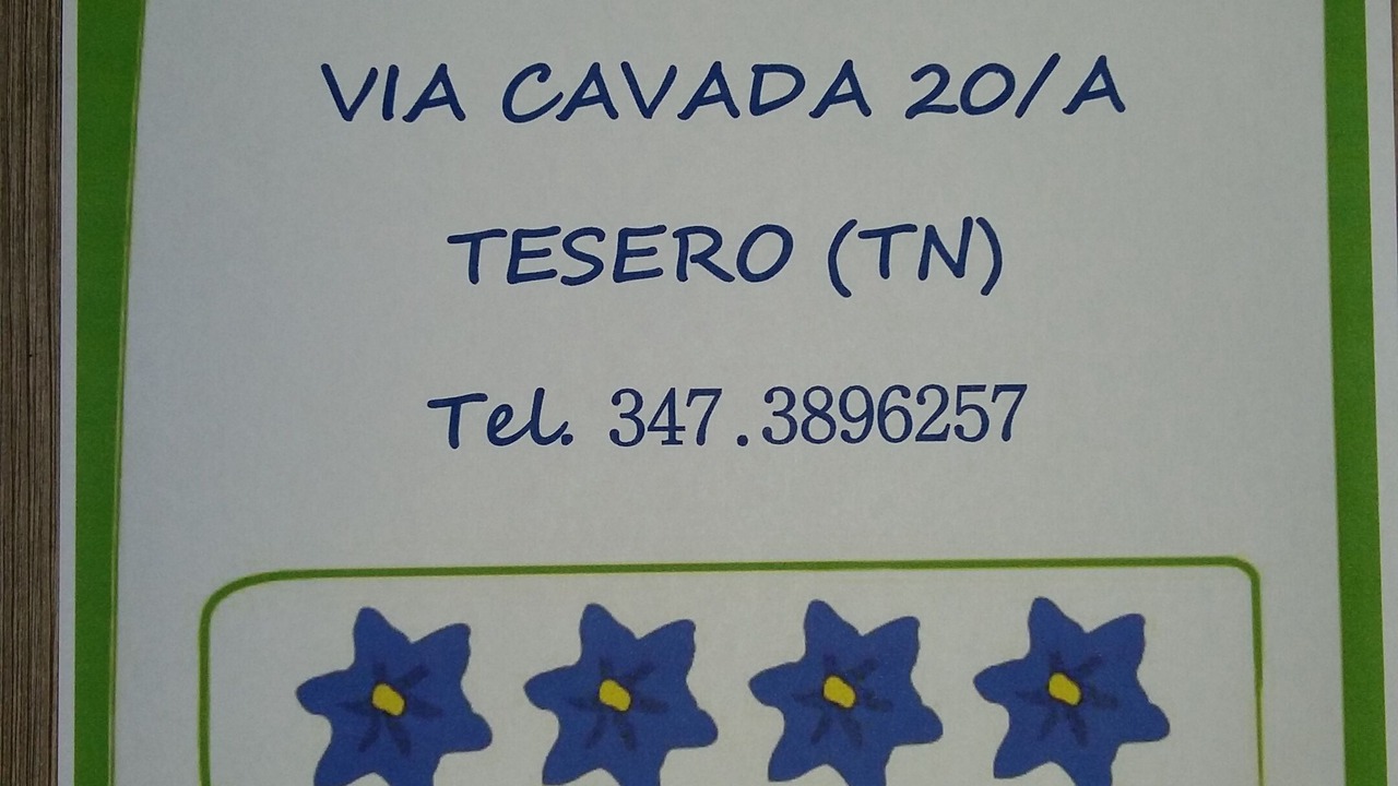 Photo of Others in Tesero