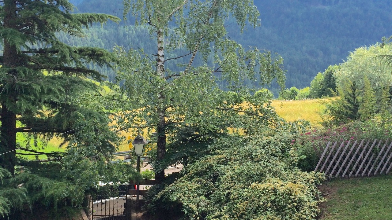 Photo of Outdoor in Castello-Molina di Fiemme