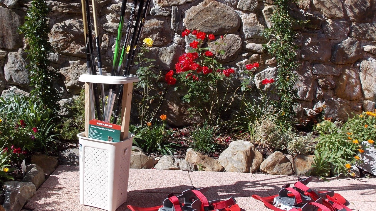 Photo of Outdoor in Rabbi