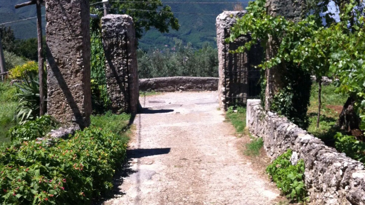Photo of Others in Cava de' Tirreni