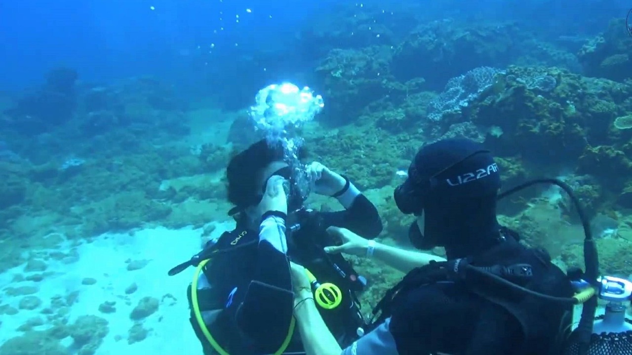 Photo of Others in Sodwana Bay