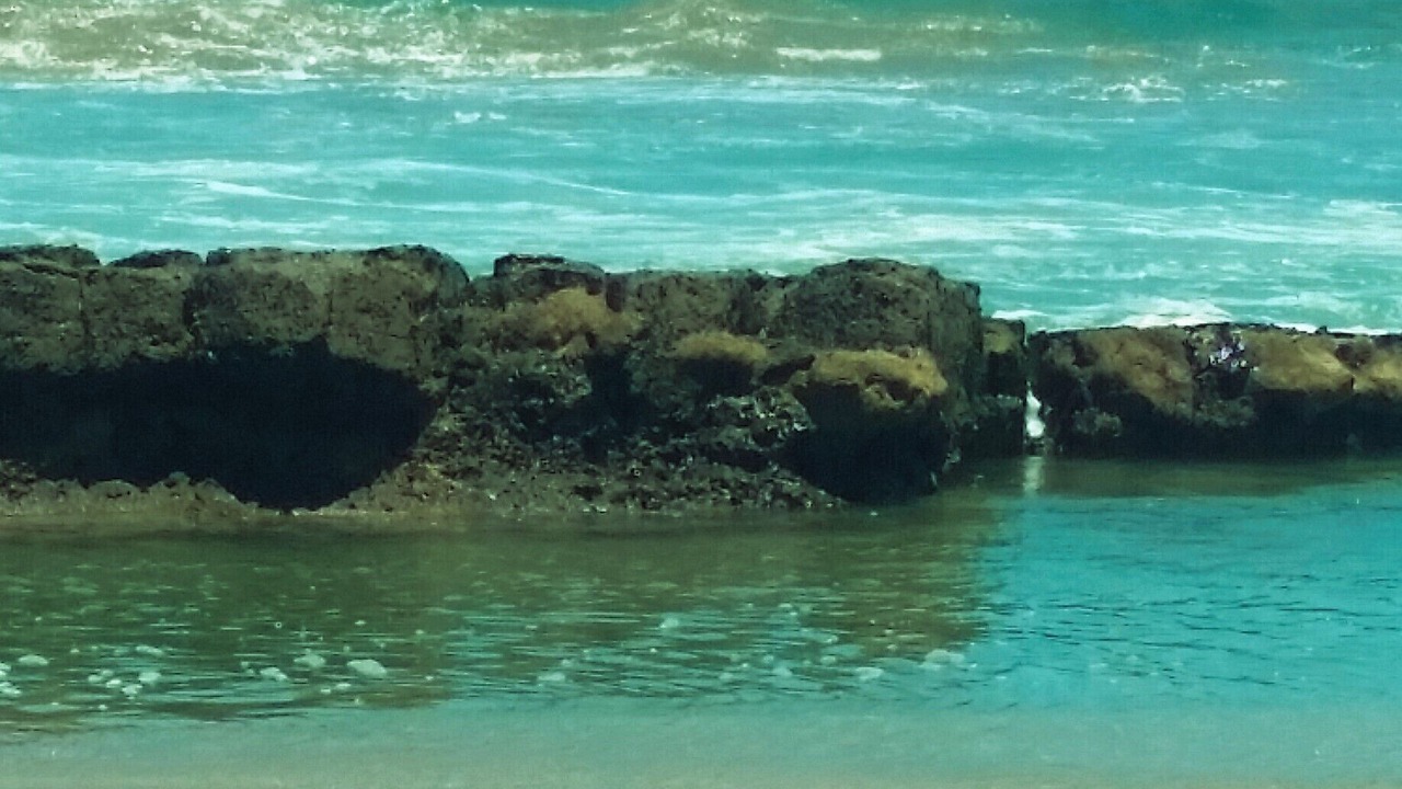 Photo of Others in Las Pocitas
