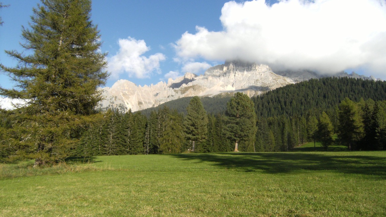 Photo of Others in San Nicolo d'Ega