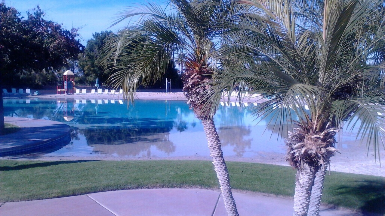 Photo of Outdoor in Val Vista Lakes