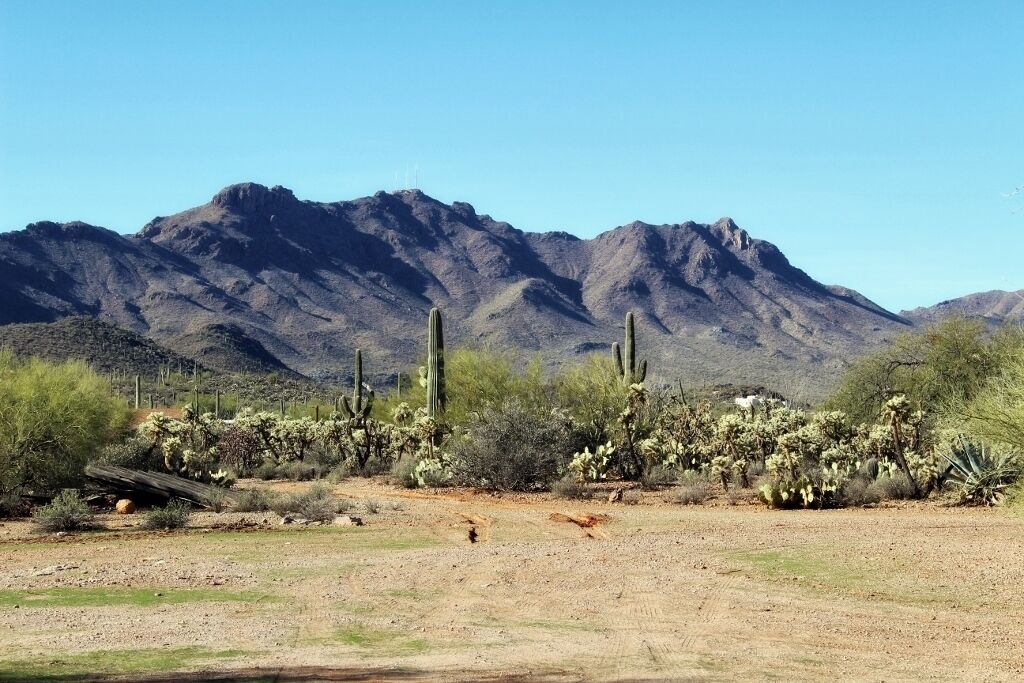 Photo of Others in Lazy Ranch Estates