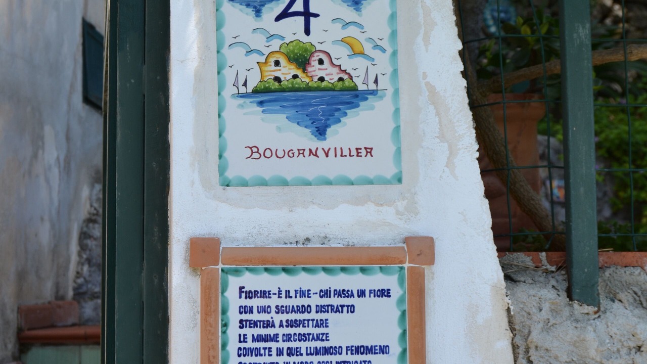 Photo of Outdoor in Erchie