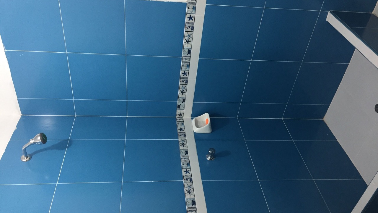 Photo of Bathroom in Zorritos
