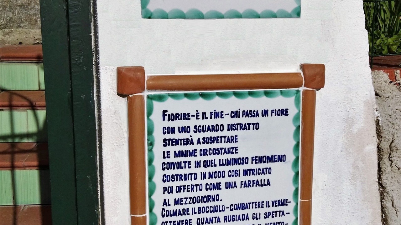 Photo of Outdoor in Erchie