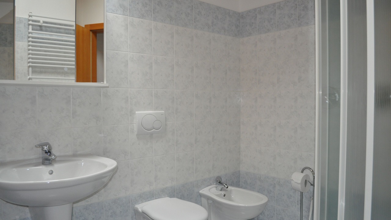 Photo of Bathroom in Sfruz