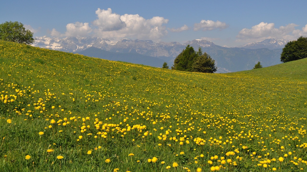 Photo of Outdoor in Sfruz