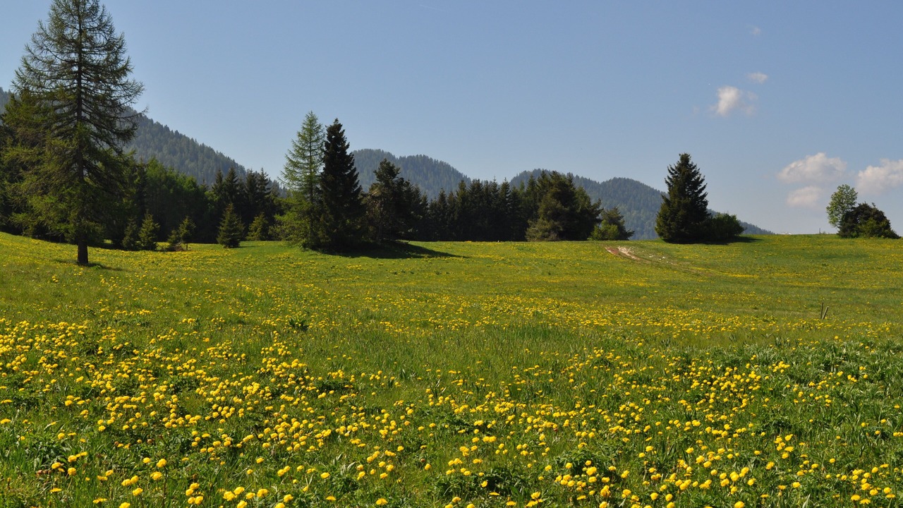 Photo of Others in Sfruz