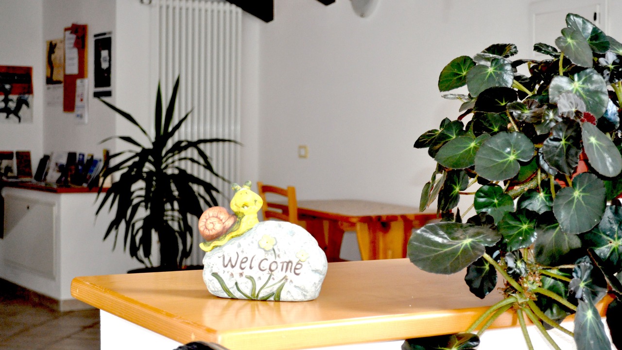 Photo of Others in Sfruz