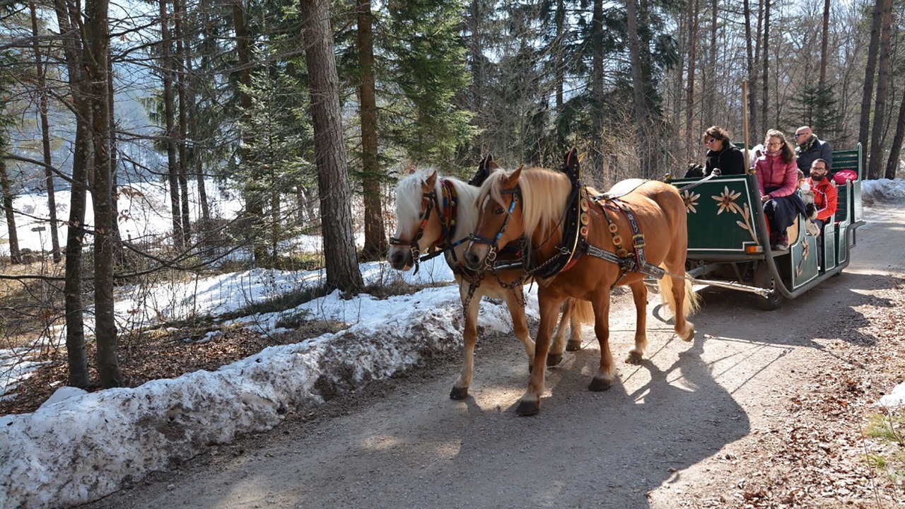 Photo of Outdoor in Cavedago