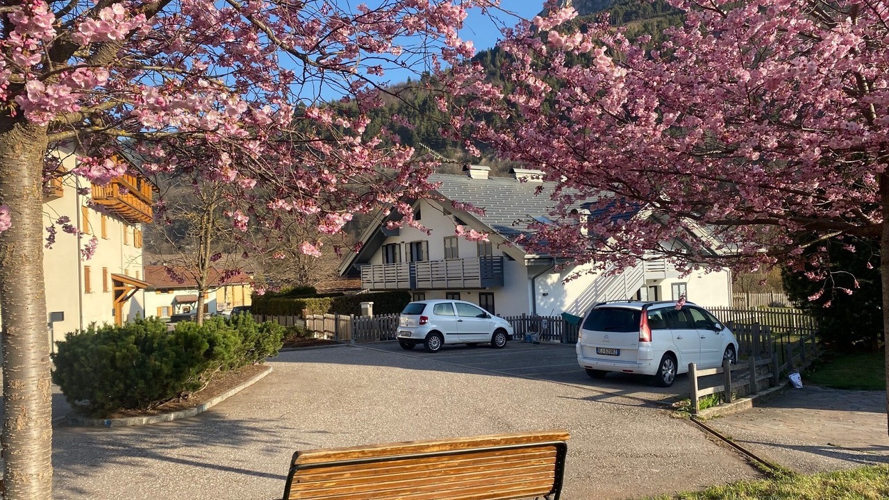 Photo of Outdoor in Tesero