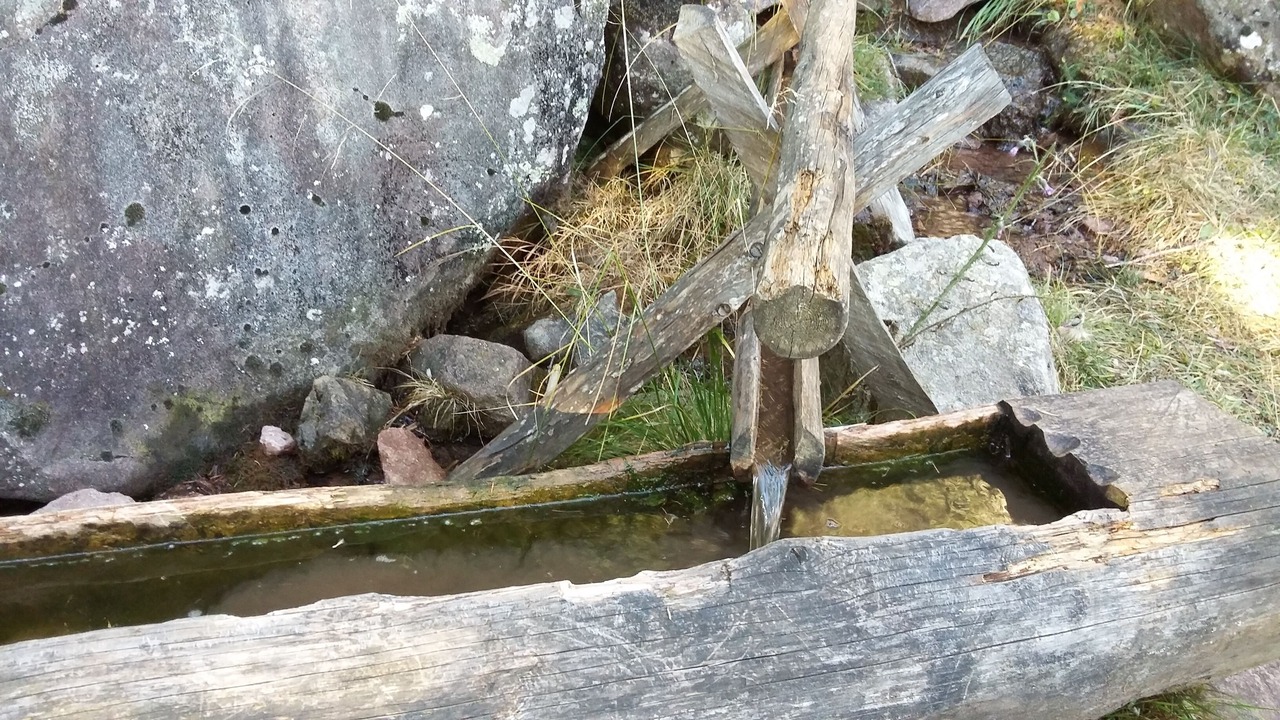 Photo of Outdoor in Verano