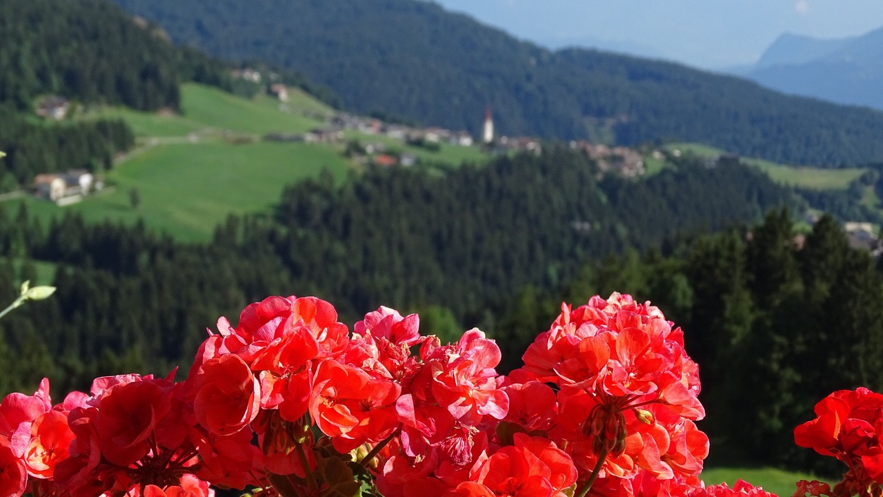 Photo of Outdoor in Verano