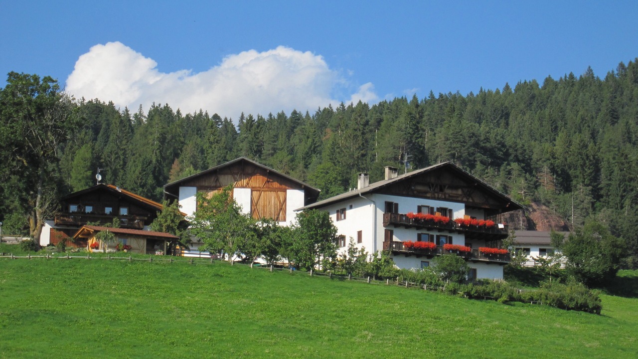 Photo of Outdoor in Verano