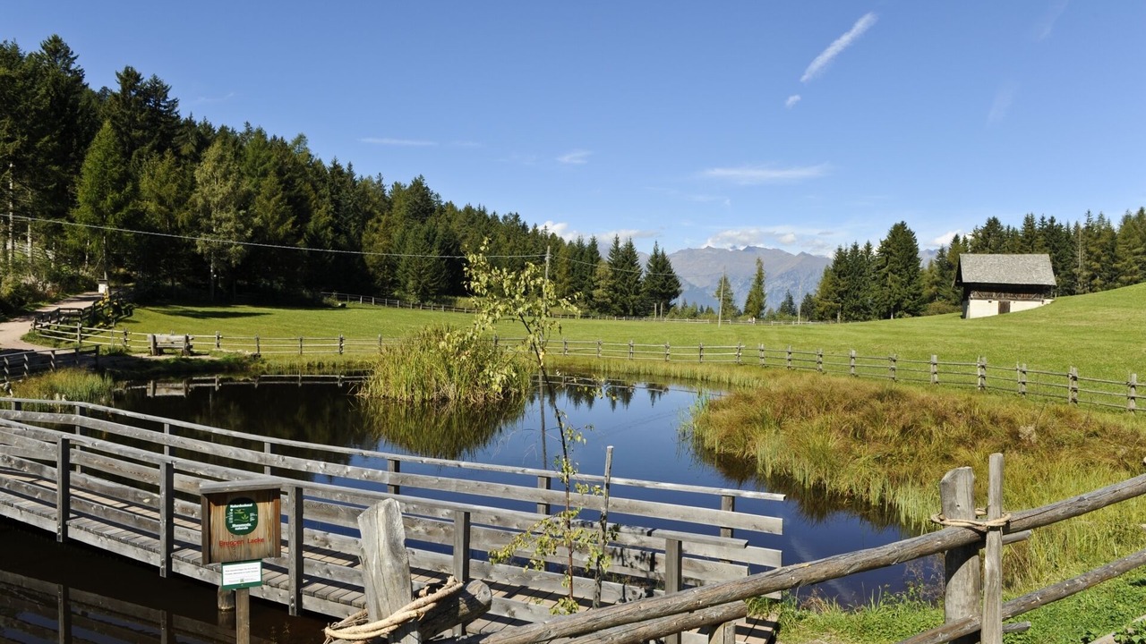 Photo of Outdoor in Verano