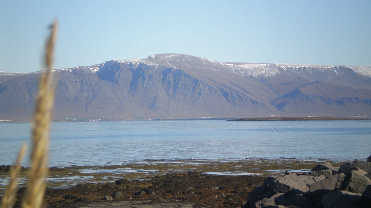 Photo of Others in Seltjarnarnes