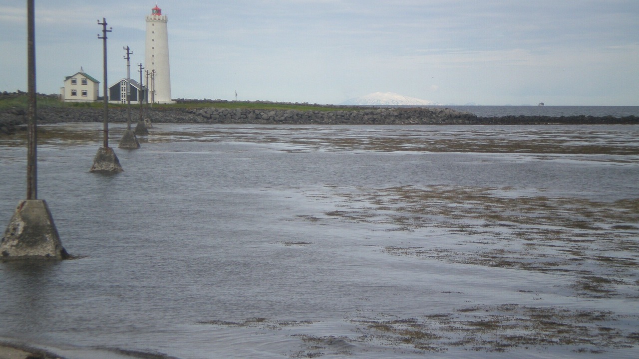 Photo of Others in Seltjarnarnes