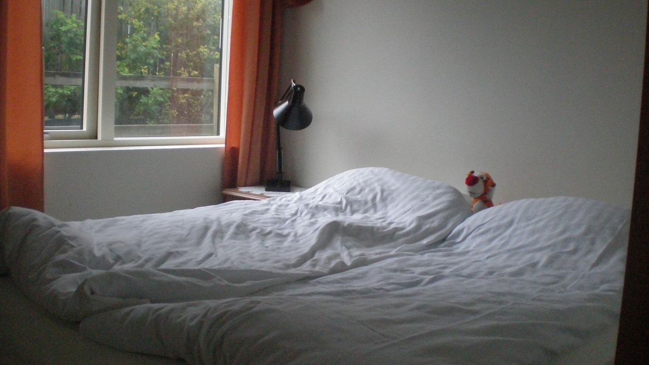 Photo of Bedroom in Seltjarnarnes