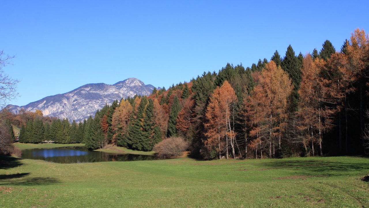 Photo of Others in Fai della Paganella