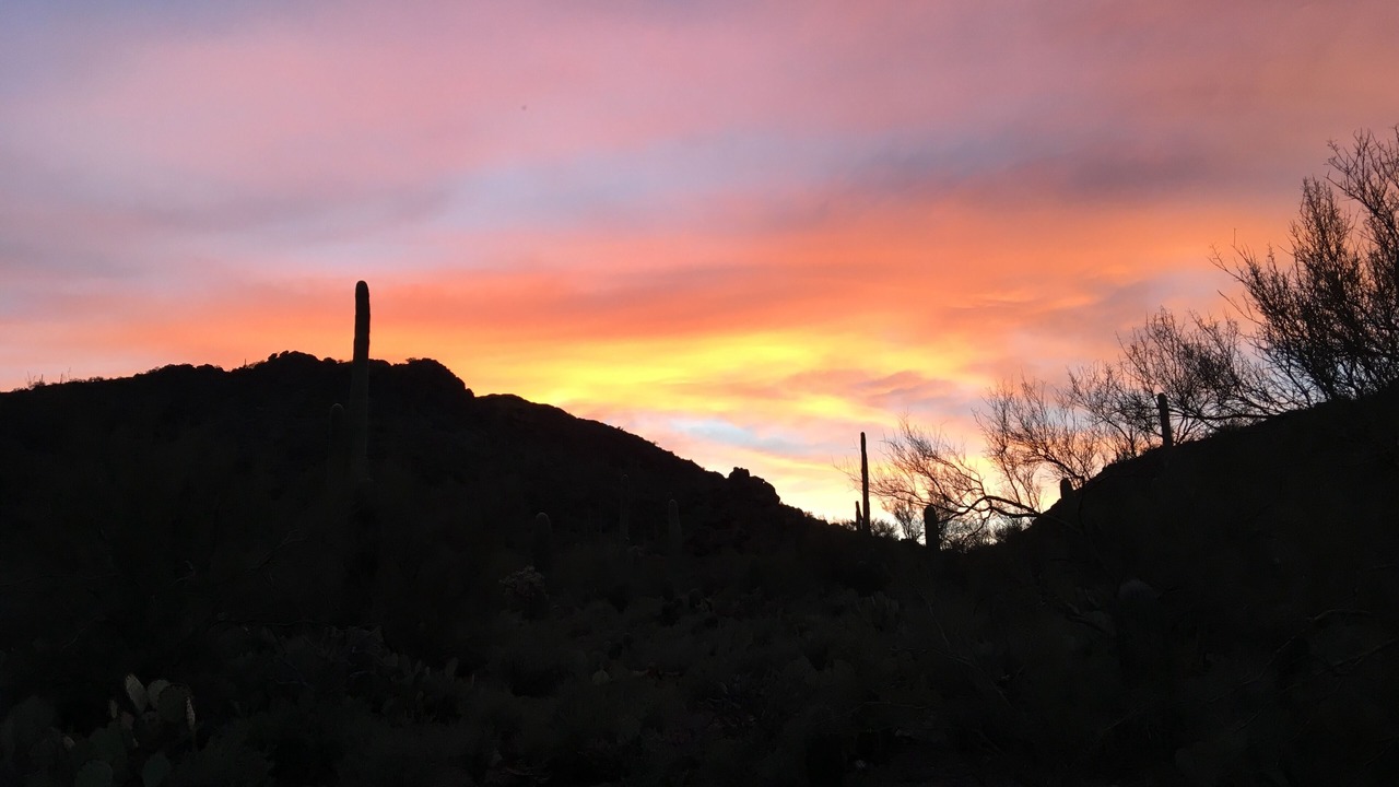 Photo of Others in Tucson