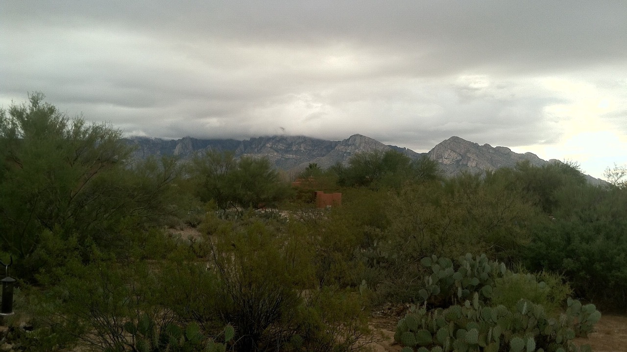 Photo of Others in Oro Valley