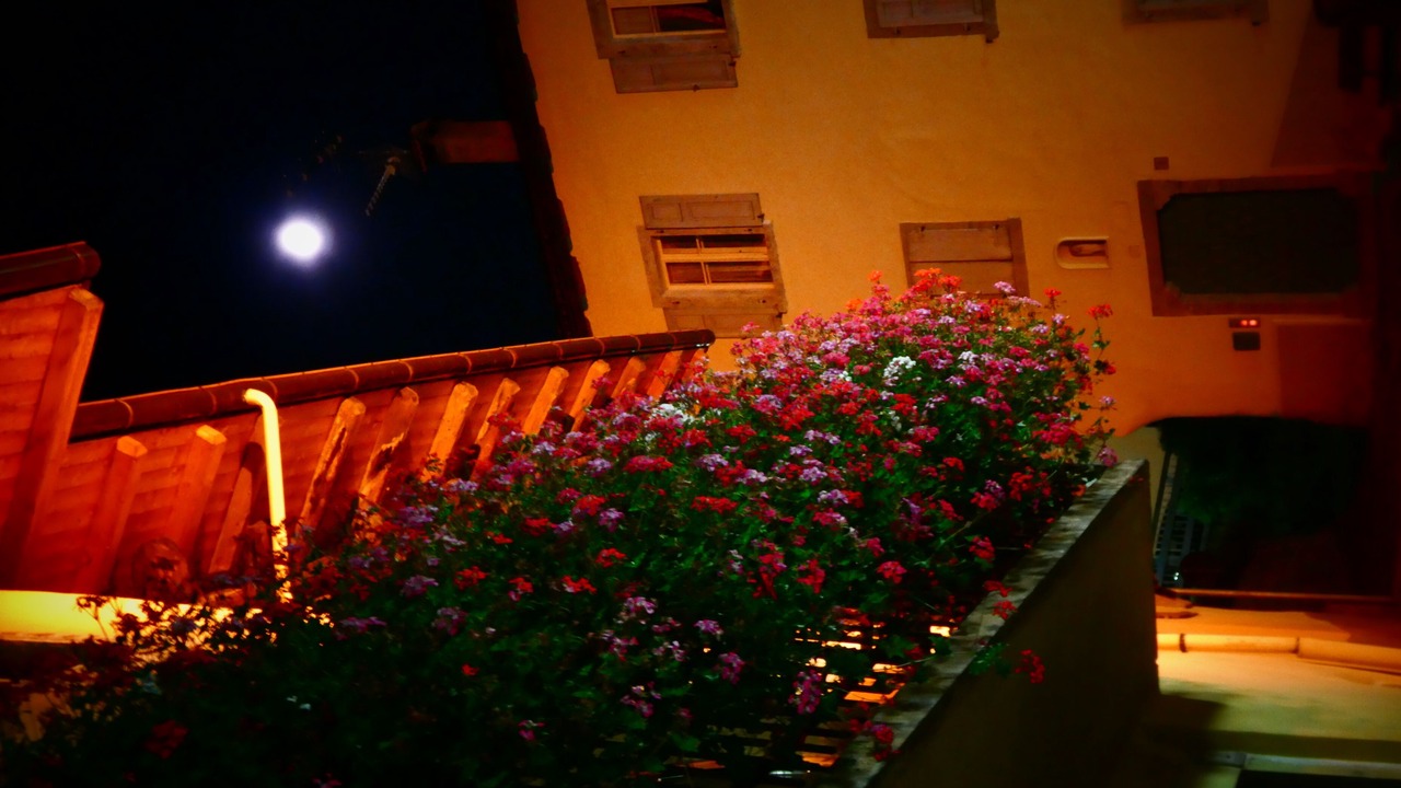 Photo of Outdoor in Strembo