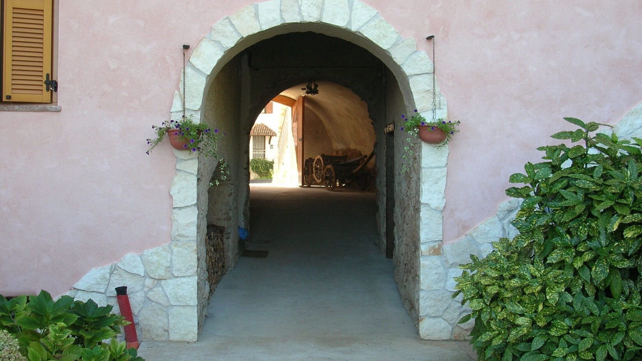 Photo of Outdoor in Cavedago