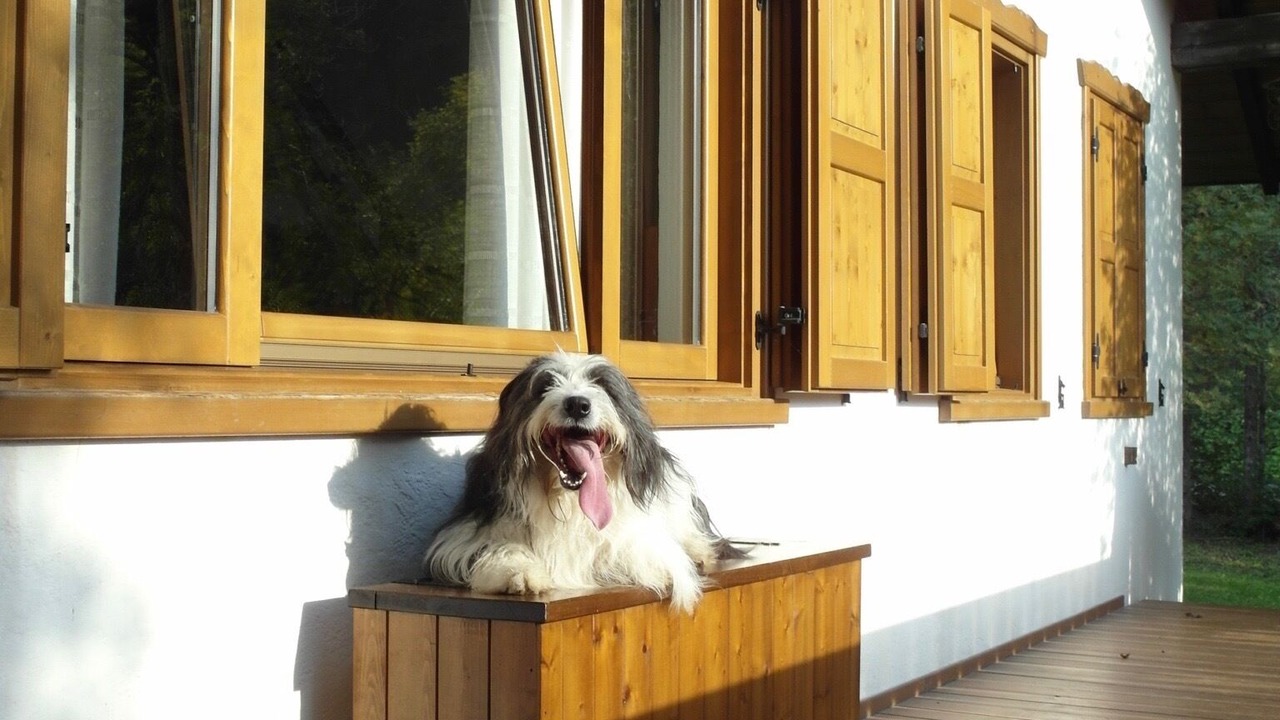 Photo of Outdoor in Transacqua