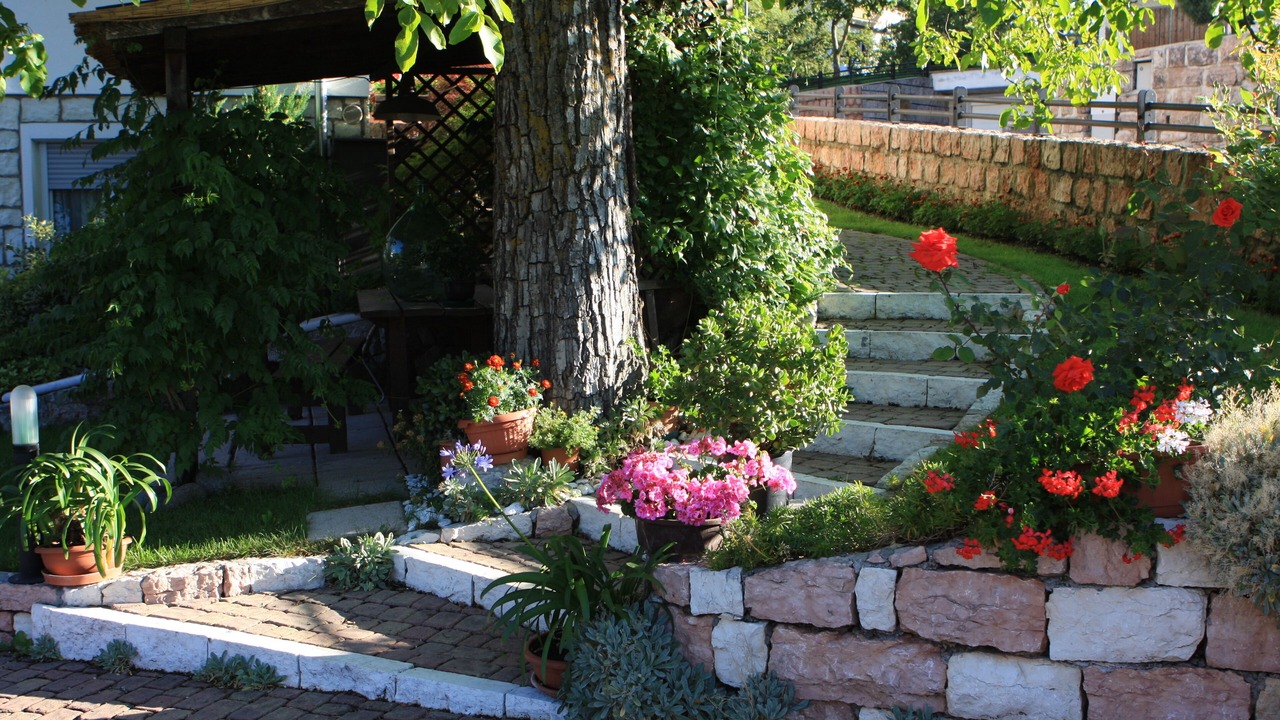 Photo of Outdoor in Fai della Paganella