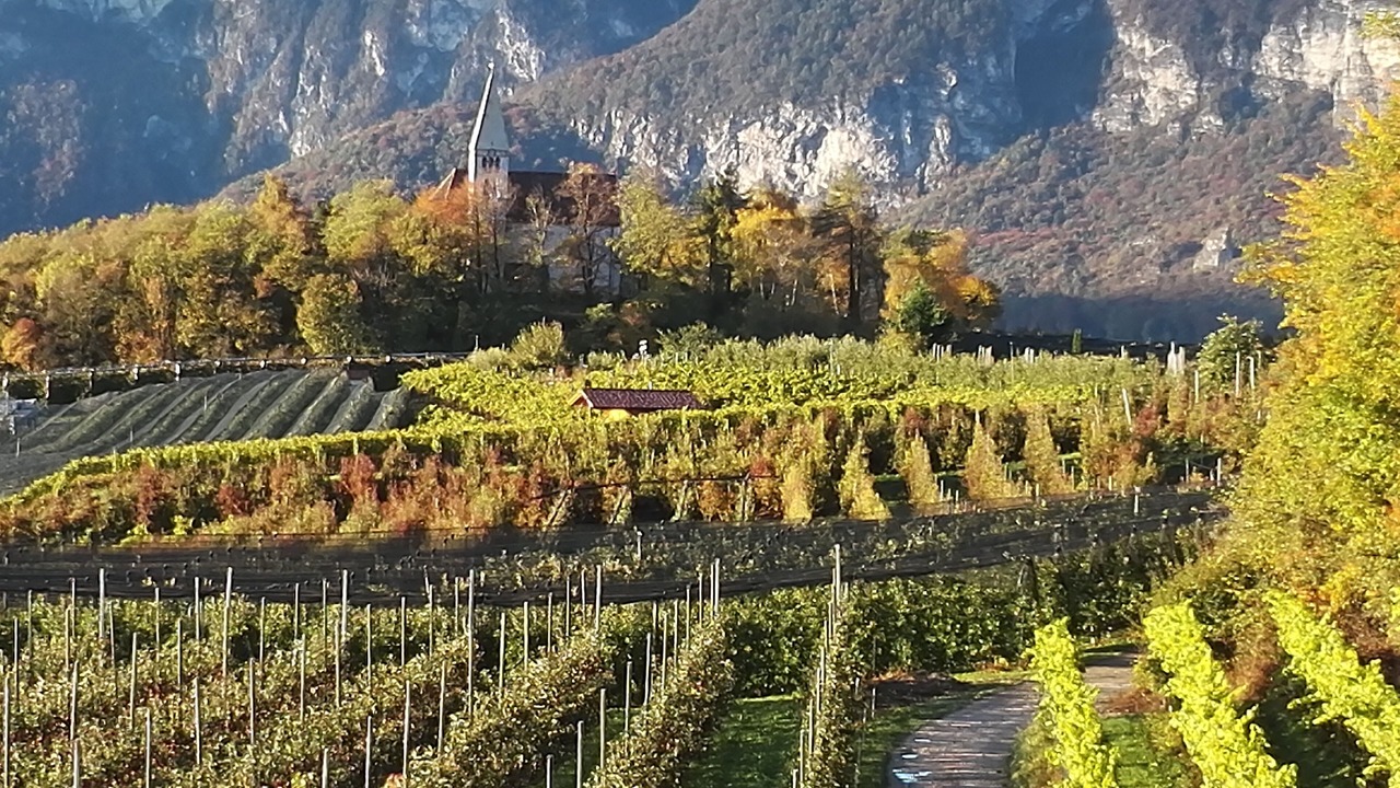 Photo of Outdoor in Kurtatsch an der Weinstraße