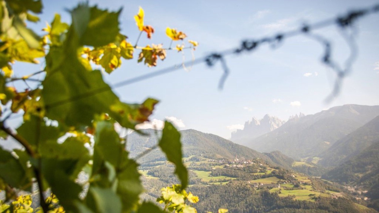 Photo of Outdoor in Feldthurns