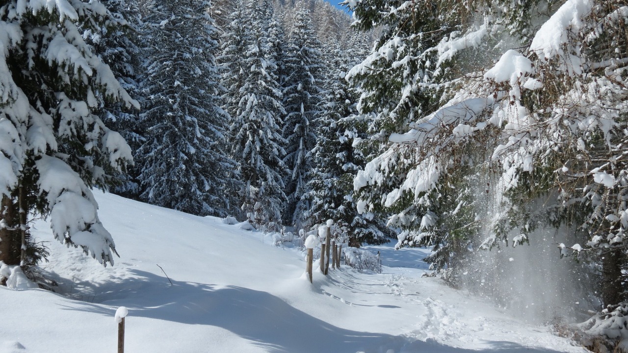 Photo of Outdoor in St. Gertraud