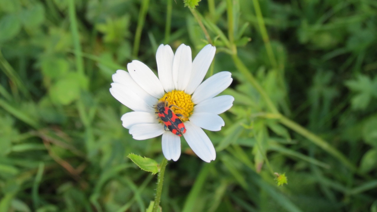 Photo of Outdoor in St. Gertraud