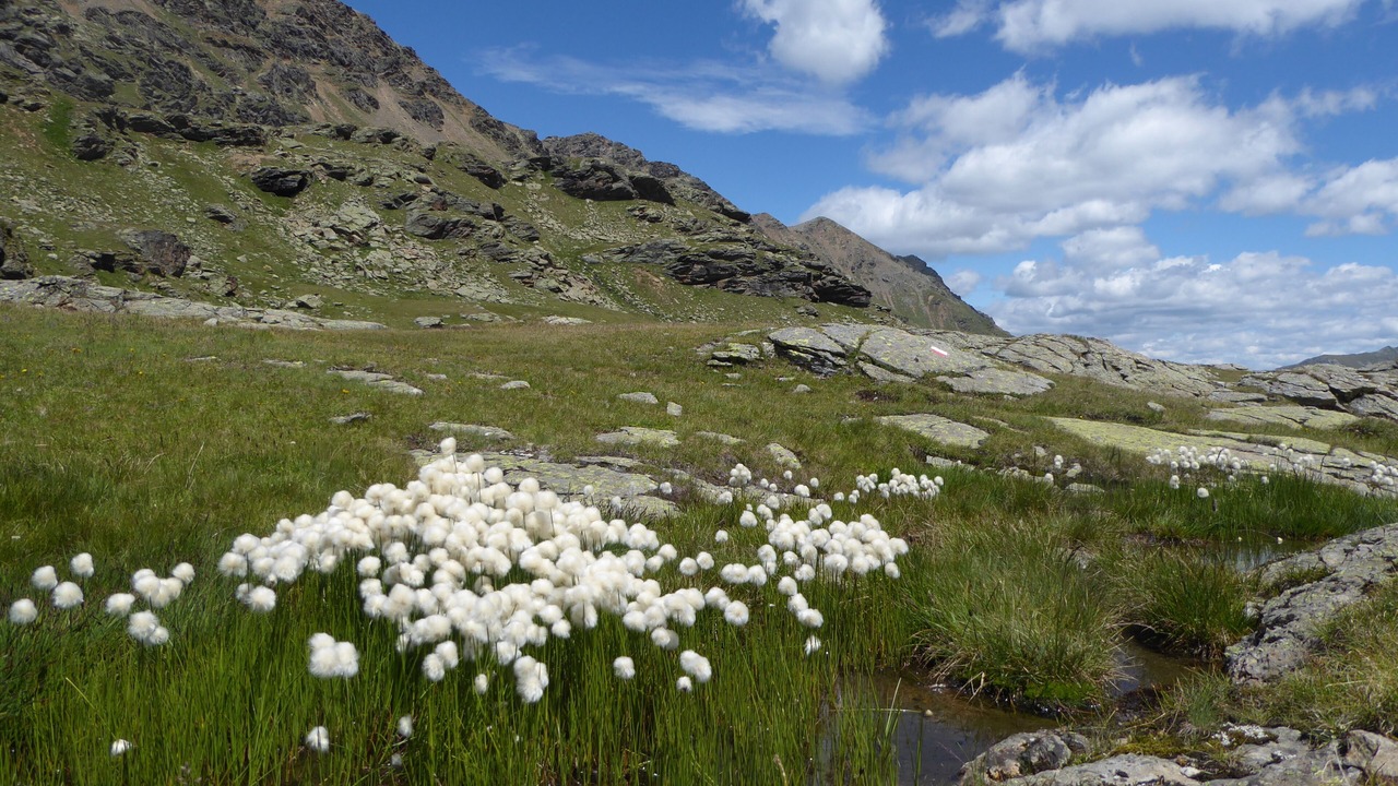 Photo of Outdoor in St. Gertraud
