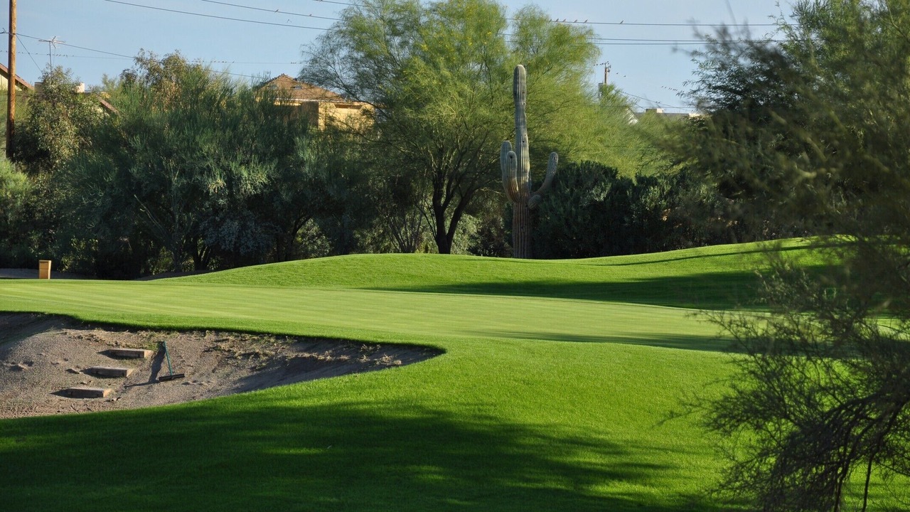 Photo of Others in Gold Canyon